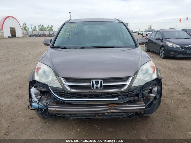 12717125 :رقم المزاد ، 5J6RE4H78AL818023 vin ، 2010 Honda Cr-v Ex-l مزاد بيع