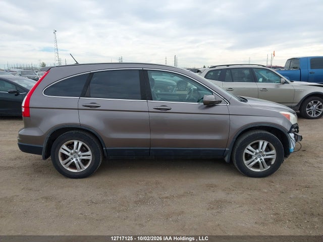 12717125 :رقم المزاد ، 5J6RE4H78AL818023 vin ، 2010 Honda Cr-v Ex-l مزاد بيع