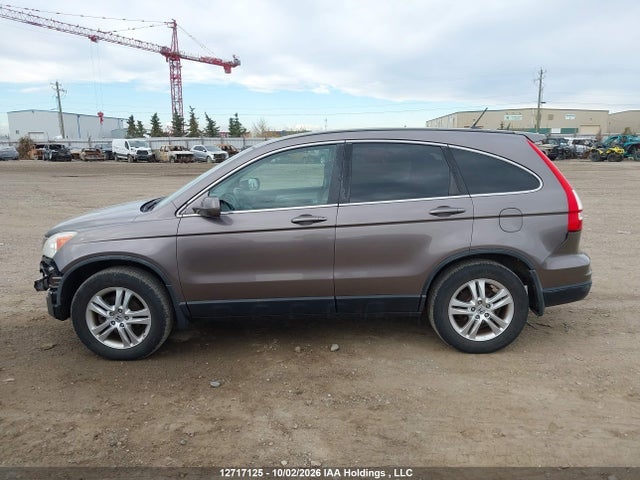 12717125 :رقم المزاد ، 5J6RE4H78AL818023 vin ، 2010 Honda Cr-v Ex-l مزاد بيع