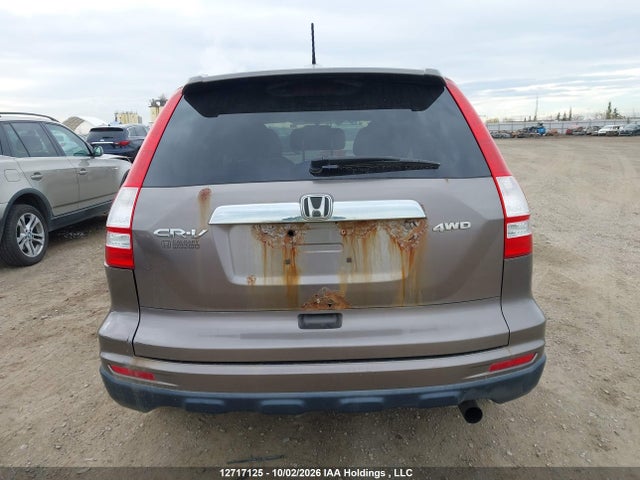 12717125 :رقم المزاد ، 5J6RE4H78AL818023 vin ، 2010 Honda Cr-v Ex-l مزاد بيع