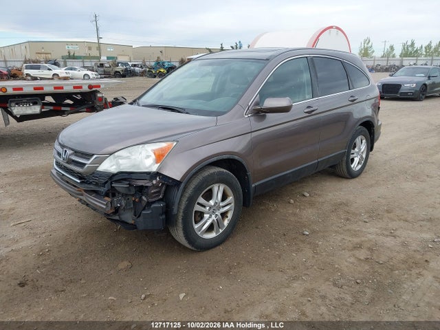 12717125 :رقم المزاد ، 5J6RE4H78AL818023 vin ، 2010 Honda Cr-v Ex-l مزاد بيع