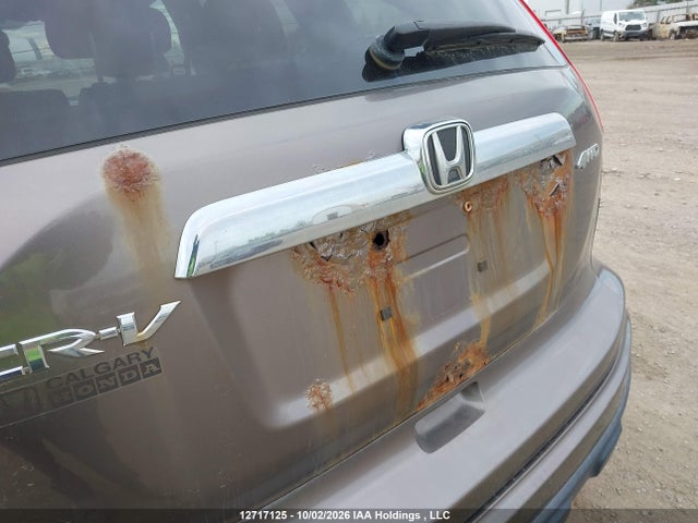12717125 :رقم المزاد ، 5J6RE4H78AL818023 vin ، 2010 Honda Cr-v Ex-l مزاد بيع