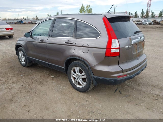 12717125 :رقم المزاد ، 5J6RE4H78AL818023 vin ، 2010 Honda Cr-v Ex-l مزاد بيع