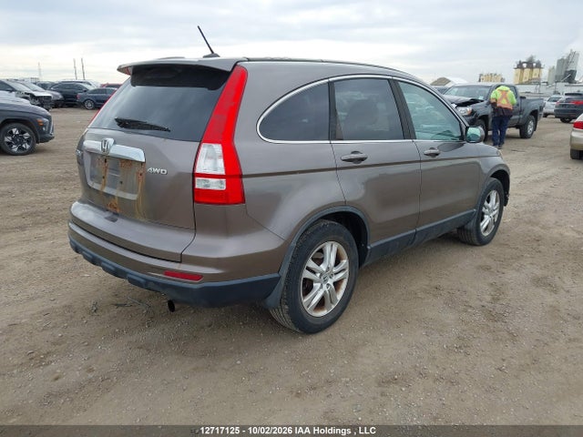 12717125 :رقم المزاد ، 5J6RE4H78AL818023 vin ، 2010 Honda Cr-v Ex-l مزاد بيع