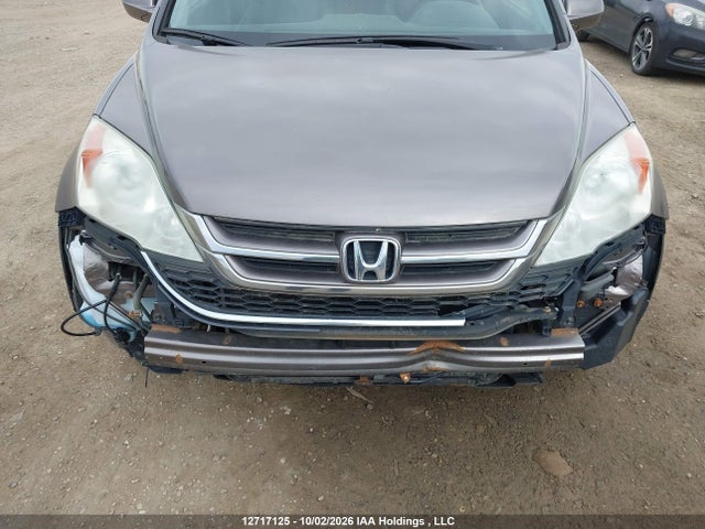 12717125 :رقم المزاد ، 5J6RE4H78AL818023 vin ، 2010 Honda Cr-v Ex-l مزاد بيع