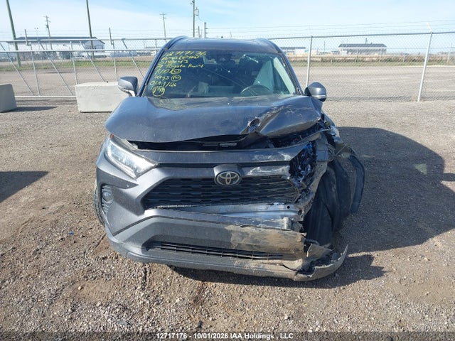 2T3R1RFV7KC018443 Toyota Rav4 Xle/xle Premium
