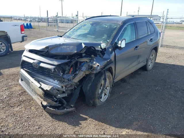 2T3R1RFV7KC018443 Toyota Rav4 Xle/xle Premium
