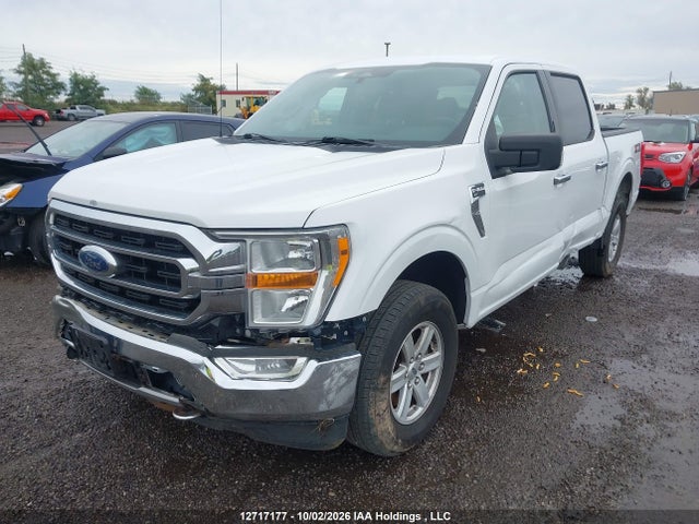 Auction sale of the 2021 Ford F-150 Xlt, vin: 1FTFW1E82MFA35171, lot number: 12717177