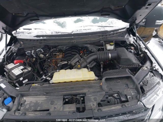 1FTFW1E50NFB33350 Ford F-150 Xlt