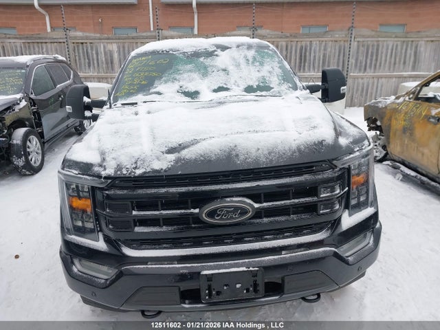 1FTFW1E50NFB33350 Ford F-150 Xlt