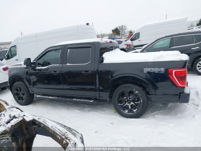 1FTFW1E50NFB33350 Ford F-150 Xlt