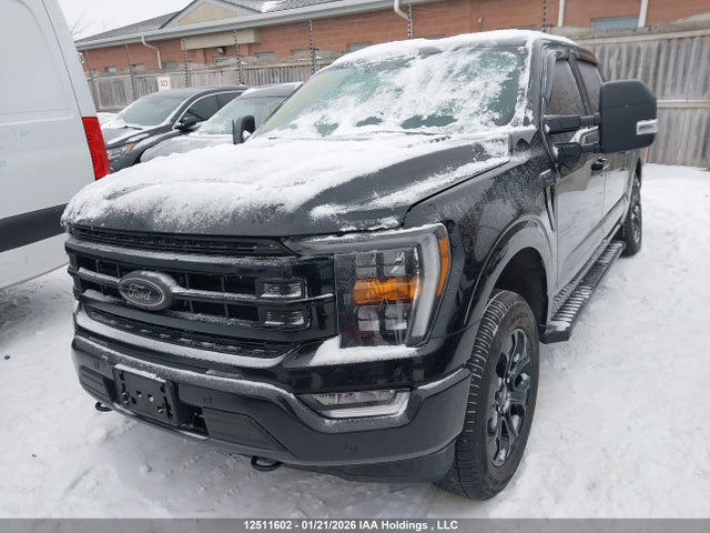 1FTFW1E50NFB33350 Ford F-150 Xlt