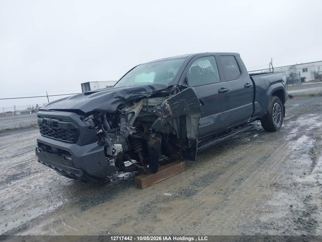 2025 Toyota Tacoma Double Cab/sr5/trd Sport/trd Off Road/ltd მანქანა იყიდება აუქციონზე, vin: 3TYLB5JN9ST093376, აუქციონის ნომერი: 12717442