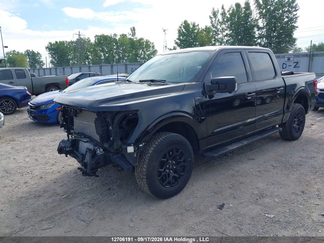 12706191 :رقم المزاد ، 1FTFW3L89RKE19560 vin ، 2024 Ford F-150 Xlt مزاد بيع