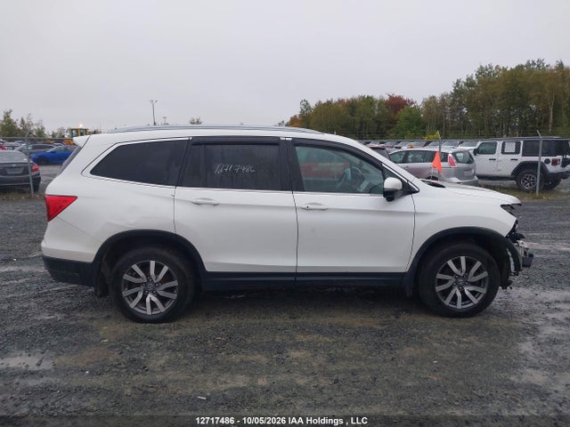 Продажа на аукционе авто 2020 Honda Pilot Ex-l Navi, vin: 5FNYF6H74LB503431, номер лота: 12717486
