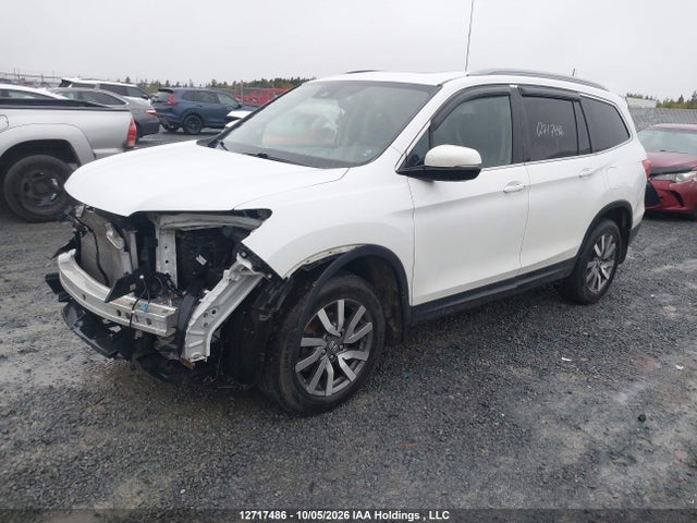 Продажа на аукционе авто 2020 Honda Pilot Ex-l Navi, vin: 5FNYF6H74LB503431, номер лота: 12717486