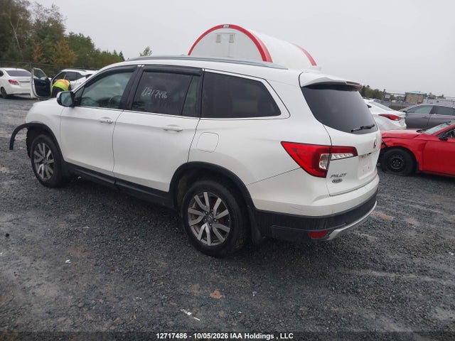 Продажа на аукционе авто 2020 Honda Pilot Ex-l Navi, vin: 5FNYF6H74LB503431, номер лота: 12717486