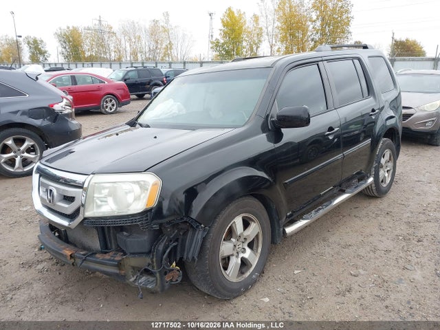 12717502 :رقم المزاد ، 5FNYF4H74BB001666 vin ، 2011 Honda Pilot Ex-l مزاد بيع