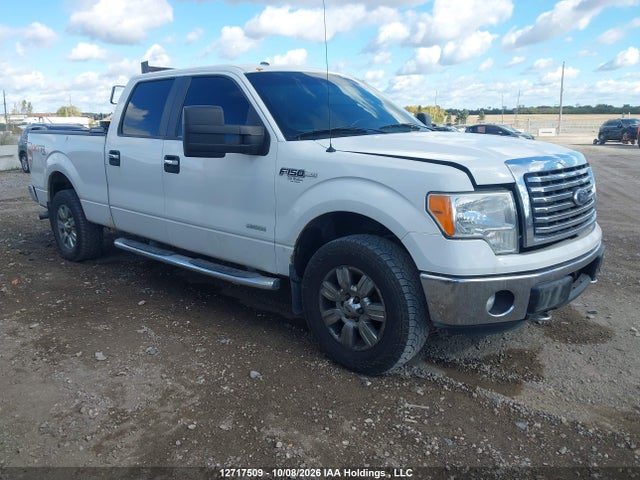 Aukcja sprzedaży 2011 Ford F150 Supercrew, vin: 1FTFW1ET3BFB50539, numer aukcji: 12717509