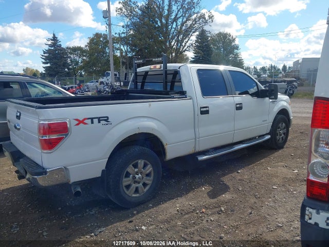 Aukcja sprzedaży 2011 Ford F150 Supercrew, vin: 1FTFW1ET3BFB50539, numer aukcji: 12717509
