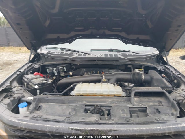 Ford F150 Xlt 2025 1FTFW3L82SKE50848 Image 10