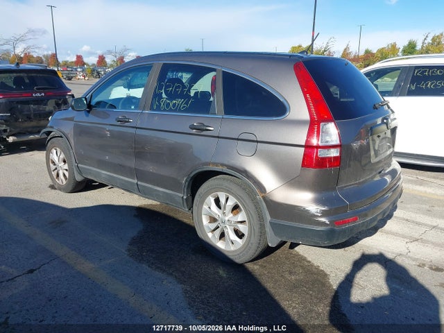 Aukcja sprzedaży 2010 Honda Cr-v, vin: 5J6RE4H31AL800461, numer aukcji: 12717739