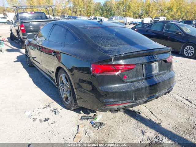 Auction sale of the 2023 Audi S5 3.0t Technik, vin: WAUB4CF57PA064362, lot number: 12717918