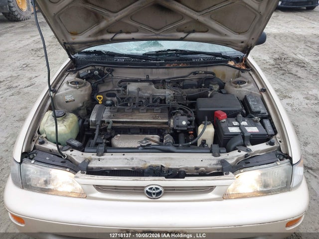 12718137 :رقم المزاد ، 2T1BA03E2TC122673 vin ، 1996 Toyota Corolla مزاد بيع