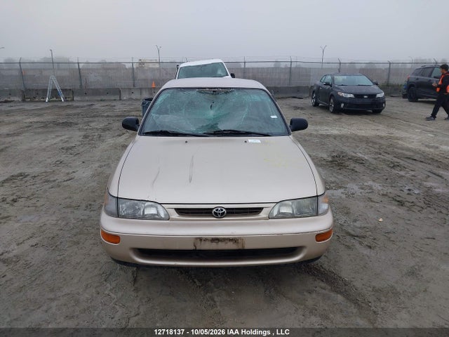 12718137 :رقم المزاد ، 2T1BA03E2TC122673 vin ، 1996 Toyota Corolla مزاد بيع