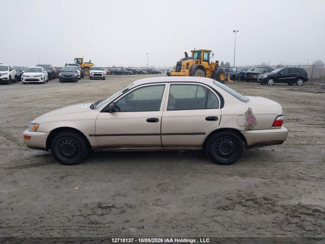 12718137 :رقم المزاد ، 2T1BA03E2TC122673 vin ، 1996 Toyota Corolla مزاد بيع