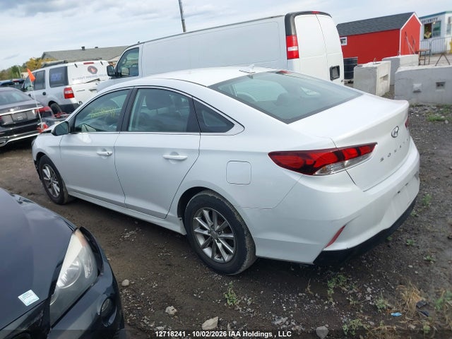 5NPE24AF7KH783981 Hyundai Sonata Essential