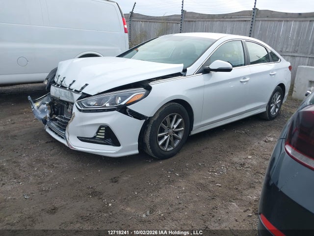 5NPE24AF7KH783981 Hyundai Sonata Essential