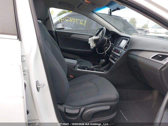 5NPE24AF7KH783981 Hyundai Sonata Essential