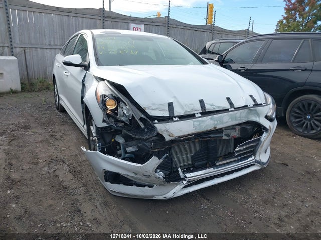 5NPE24AF7KH783981 Hyundai Sonata Essential