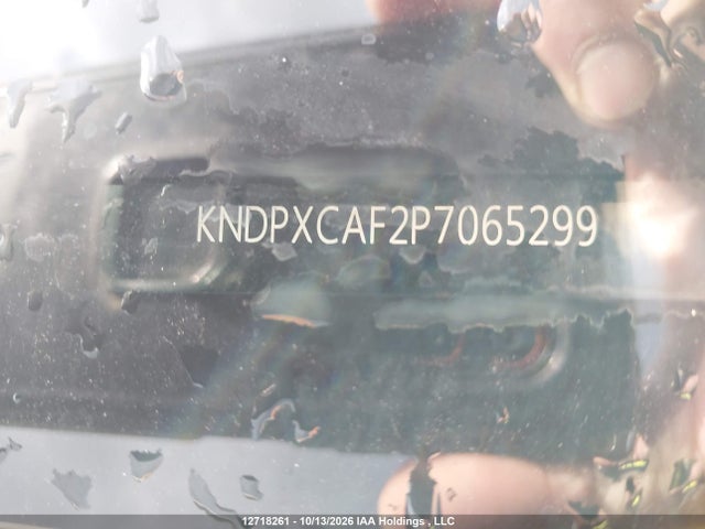 KNDPXCAF2P7065299 KIA Sportage X-line Limited W/black Interior/x-line Limited W/green Interior