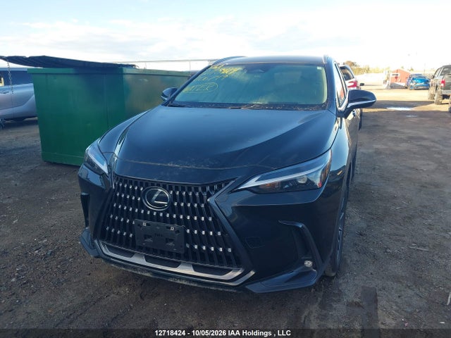 Lexus NX 250 2025 2T2ADCEZ1SC006749 Image 12