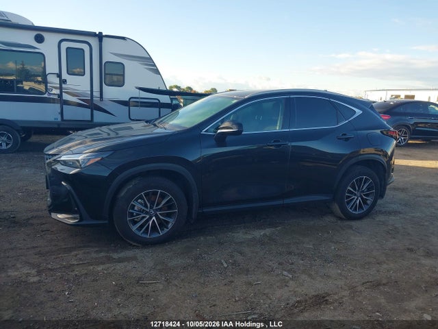 Lexus NX 250 2025 2T2ADCEZ1SC006749 Image 14