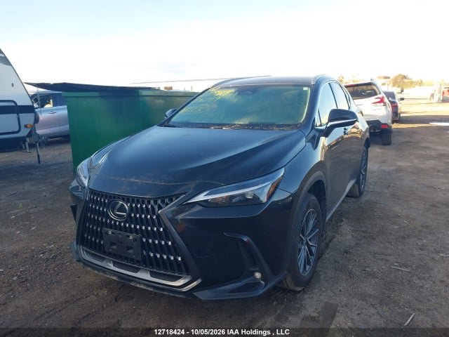 Lexus NX 250 2025 2T2ADCEZ1SC006749 Image 2