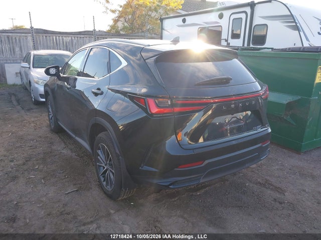 Lexus NX 250 2025 2T2ADCEZ1SC006749 Image 3
