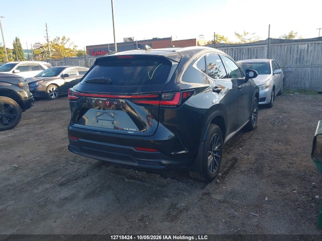 Lexus NX 250 2025 2T2ADCEZ1SC006749 Image 4
