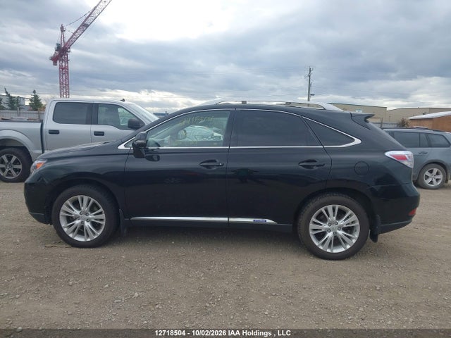 2010 Lexus Rx 450 მანქანა იყიდება აუქციონზე, vin: JTJBC1BA6A2029419, აუქციონის ნომერი: 12718504