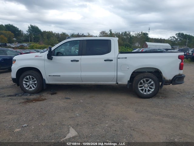 Продаж на аукціоні авто 2024 Chevrolet Silverado 1500 Work Truck, vin: 1GCUDAED4RZ126586, номер лоту: 12718514