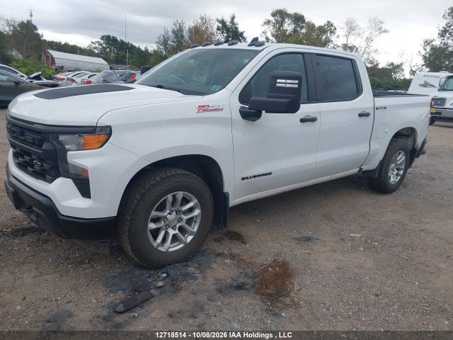 Продаж на аукціоні авто 2024 Chevrolet Silverado 1500 Work Truck, vin: 1GCUDAED4RZ126586, номер лоту: 12718514