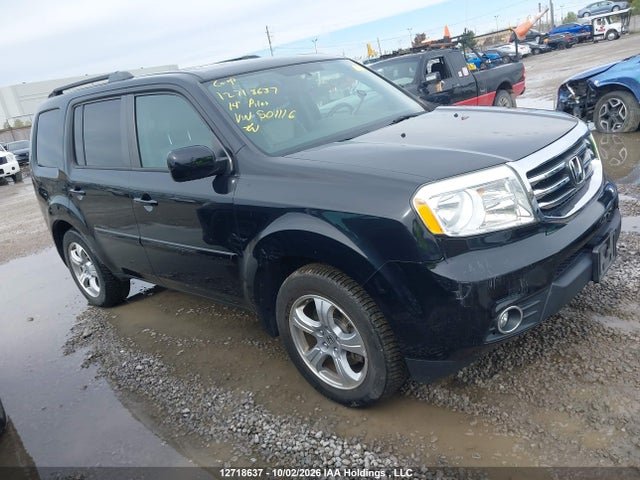 Auction sale of the 2014 Honda Pilot Exl, vin: 5FNYF4H50EB501116, lot number: 12718637