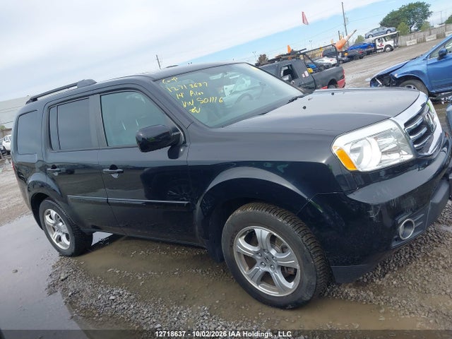 12718637 :رقم المزاد ، 5FNYF4H50EB501116 vin ، 2014 Honda Pilot Exl مزاد بيع