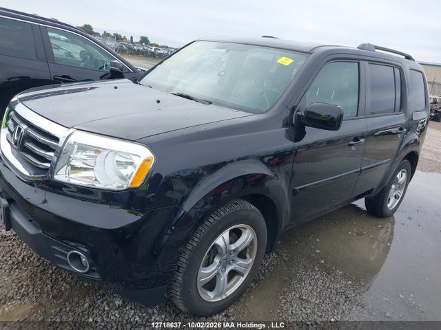 12718637 :رقم المزاد ، 5FNYF4H50EB501116 vin ، 2014 Honda Pilot Exl مزاد بيع