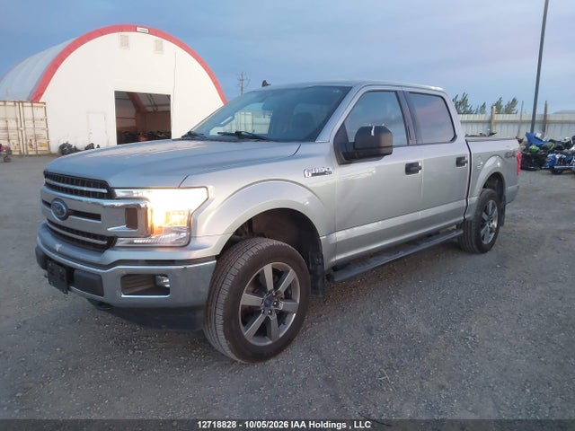 12718828 :رقم المزاد ، 1FTEW1EP5LKD99139 vin ، 2020 Ford F-150 Xlt مزاد بيع