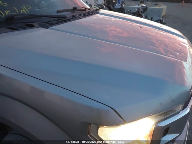 12718828 :رقم المزاد ، 1FTEW1EP5LKD99139 vin ، 2020 Ford F-150 Xlt مزاد بيع