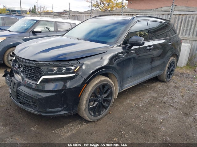 Auction sale of the 2023 Kia Sorento, vin: 5XYRKDLF3PG199008, lot number: 12718876