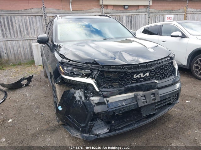 Auction sale of the 2023 Kia Sorento, vin: 5XYRKDLF3PG199008, lot number: 12718876